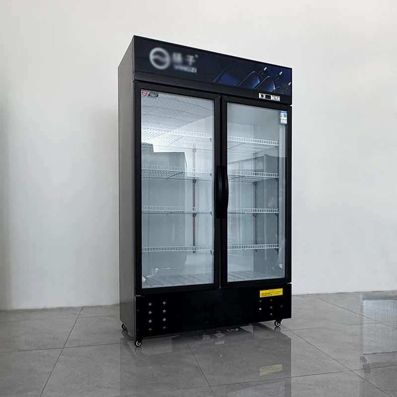 Koelkast voor dranken, enkelvo - Wine Beer Cooler Direct recensie en prijs