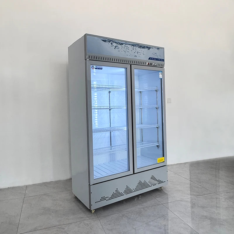 Koelkast voor dranken, enkelvo - Wine Beer Cooler Direct recensie en prijs