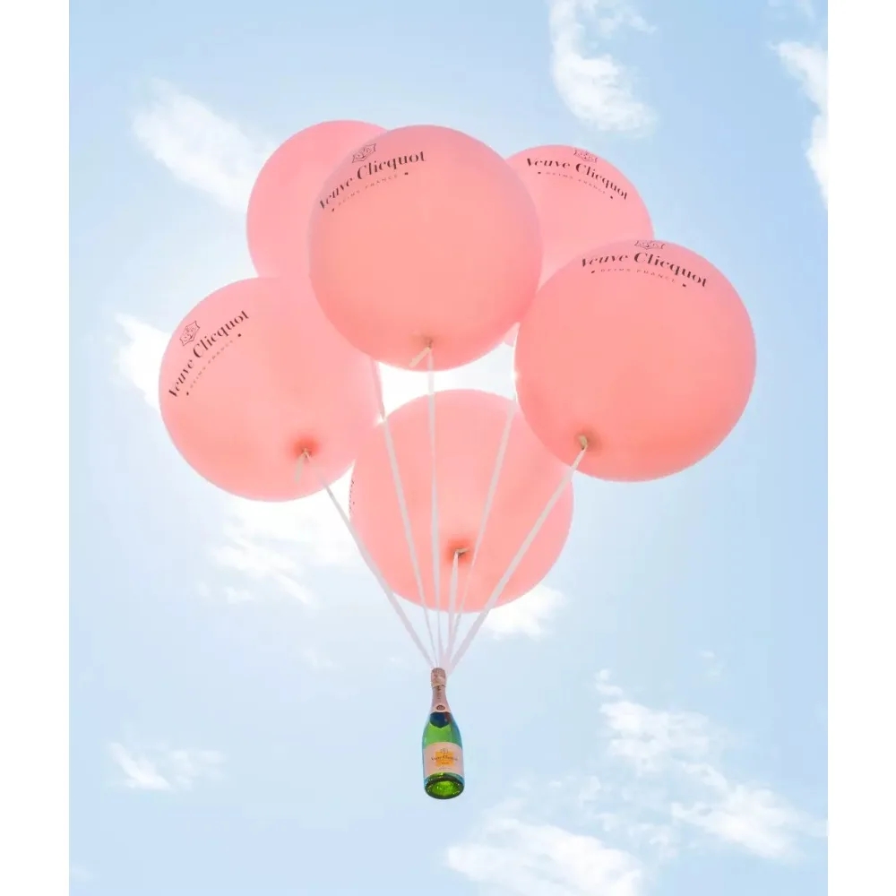 10 inch roze oranje ballonnen, - Wine Bottle Size recensie en prijs